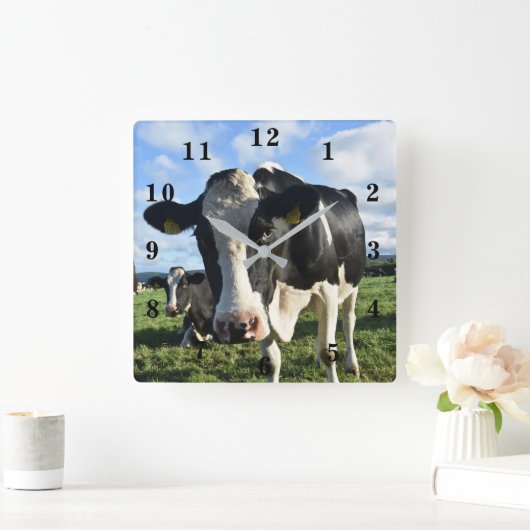 Cow Quadratische Wanduhr (Zuhause)