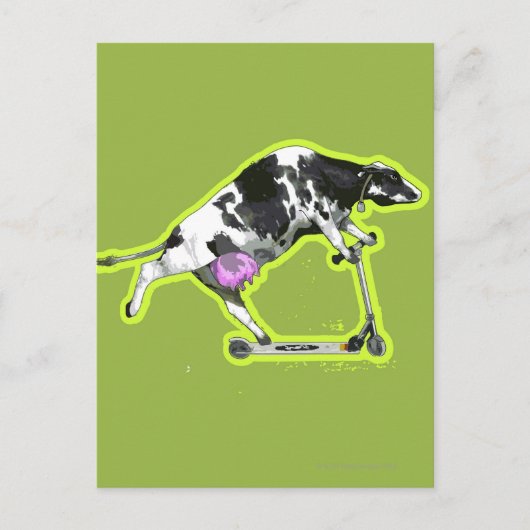 Cow Riding a Scooter Postkarte (Vorderseite)