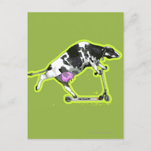 Cow Riding a Scooter Postkarte