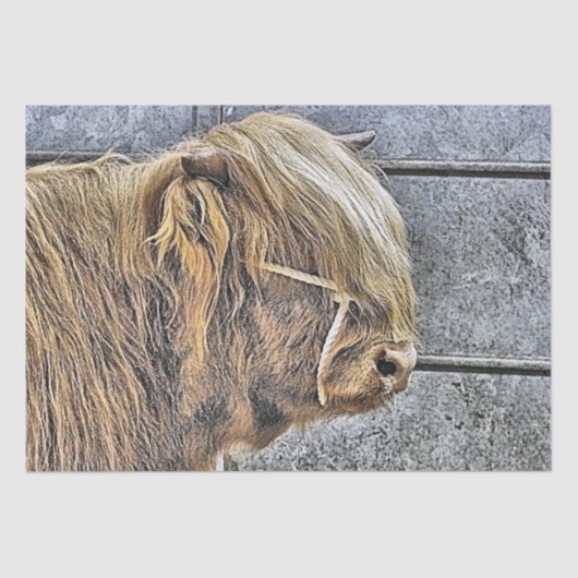 COW SEIDENPAPIER (Vorderseite)