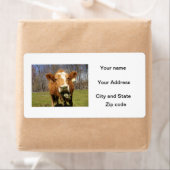 Cow Shipping Labels (Insitu)
