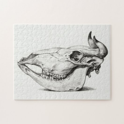 Cow skull by Jean Bernard Puzzle (Horizontal)