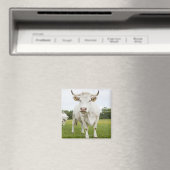 Cow standing in grassy field magnet (In Situ (Geschirrspüler))