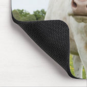 Cow standing in grassy field mousepad (Ecke)