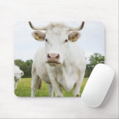Cow standing in grassy field mousepad (Mit Mouse)