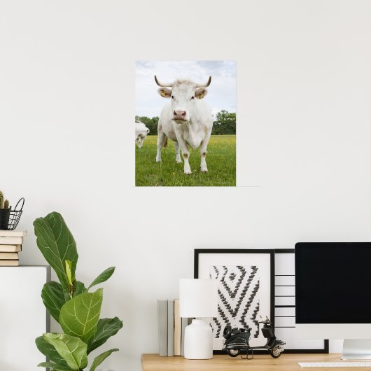 Cow standing in grassy field poster (Heimbüro)
