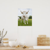 Cow standing in grassy field poster (Küche)