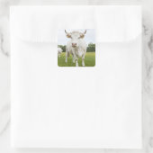Cow standing in grassy field quadratischer aufkleber (Tasche)