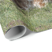 Cow Texas Longhorn Foto Geschenkpapier (Rolleneckpunkt)