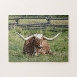Cow Texas Longhorn Foto Puzzle