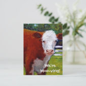 COW: WIR BEWEGEN KARTE (Stehend Vorderseite)