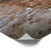 Cowbar Lass, Lindisfarne Poster (Ecke)