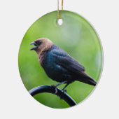 Cowbird Keramik Ornament (Links)