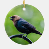 Cowbird Keramik Ornament (Hinten)