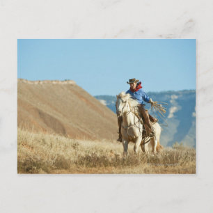 Cowboy 13 postkarte