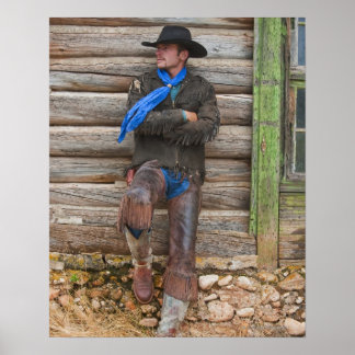 Cowboy 6 poster