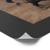 Cowboy 911 poster (Ecke)