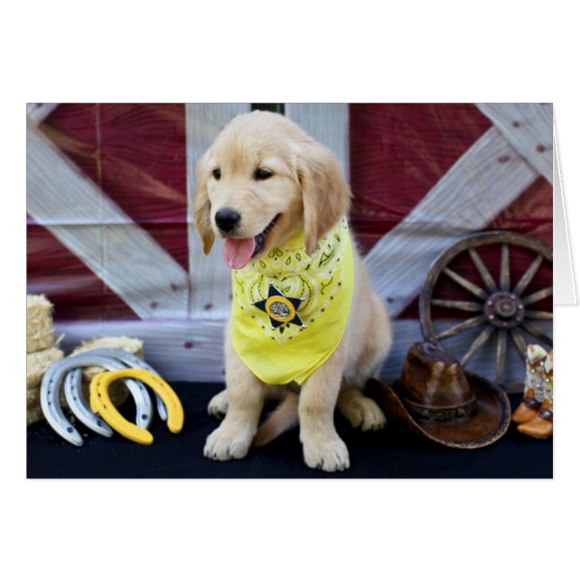 Cowboy Abby Karte (Vorderseite (Horizontal))