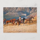 Cowboy als Wildpferd 2 Postkarte (Vorderseite)