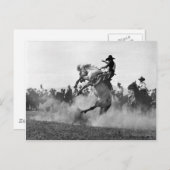 Cowboy auf einem buckligen Bronco Postkarte (Vorne/Hinten)