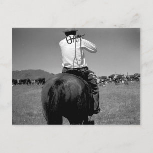 Cowboy auf einem Pferd mit zwei Brandzeichen. Postkarte