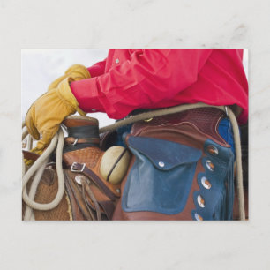 Cowboy auf Pferd mit Lederschaps Postkarte