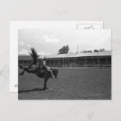 Cowboy auf Rodeo, (B&W) Postkarte (Vorne/Hinten)