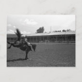 Cowboy auf Rodeo, (B&W) Postkarte (Vorderseite)