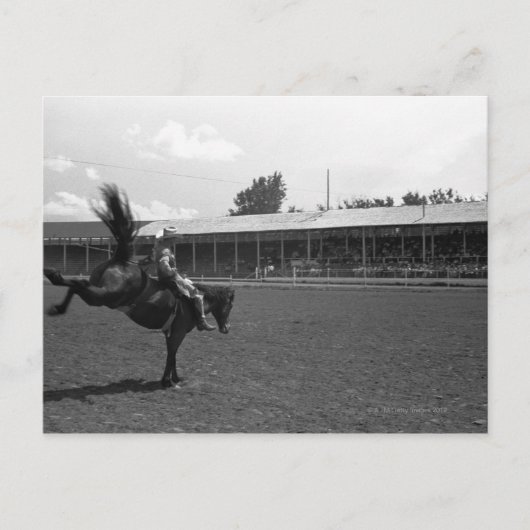 Cowboy auf Rodeo, (B&W) Postkarte (Vorderseite)