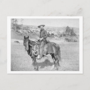 Cowboy auf seinem PferdefotoSouth Dakota Postkarte