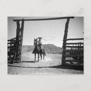 Cowboy beim Lassowerfen Postkarte