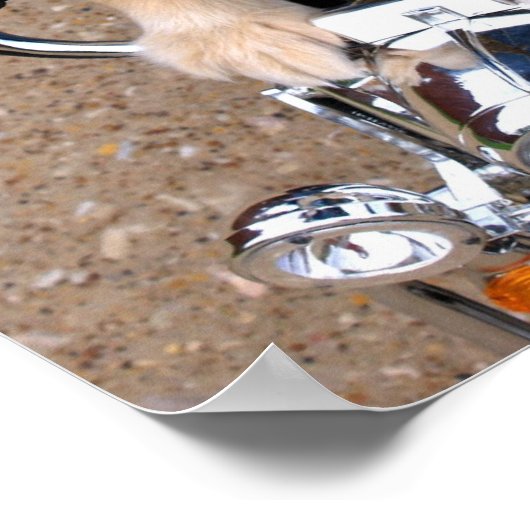 Cowboy Biker Dog Poster (Ecke)