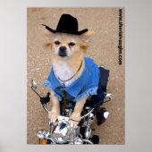 Cowboy Biker Dog Poster (Vorne)
