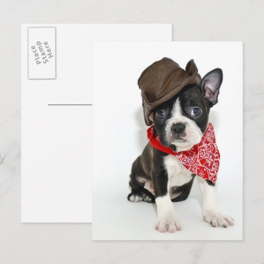 Cowboy Boston Postkarte (Vorne/Hinten)