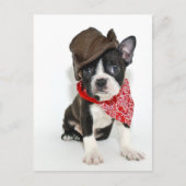 Cowboy Boston Postkarte (Vorderseite)