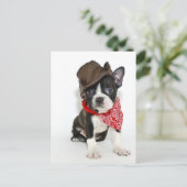 Cowboy Boston Postkarte (Stehend Vorderseite)