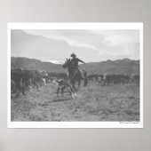 Cowboy, der ein Kalb für das Frühjahrsmarkieren an Poster (Vorne)