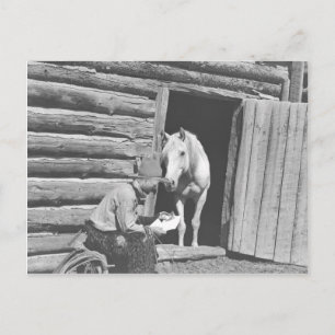 Cowboy, der einen Brief mit einem Pferd liest Postkarte