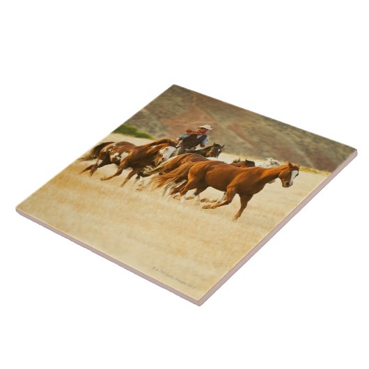 Cowboy, der Pferde 3 in Herden lebt Fliese (Seite)