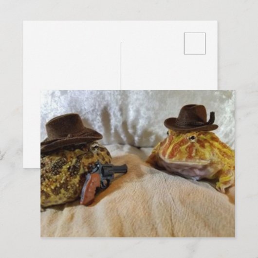 Cowboy Frogs Postkarte (Vorne/Hinten)