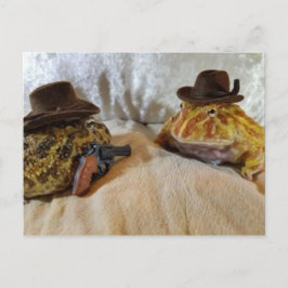 Cowboy Frogs Postkarte