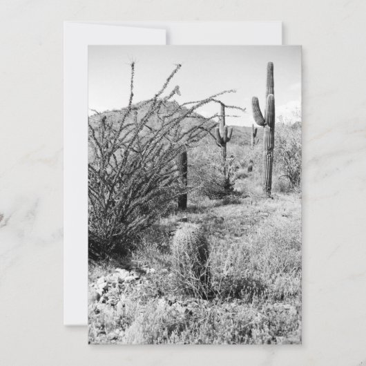 Cowboy Garden (AZ Sonoran Desert) laden Einladung (Vorderseite)