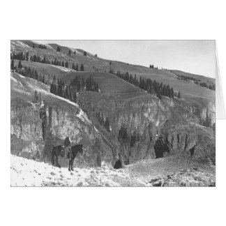 Cowboy getrennt von seiner Herde