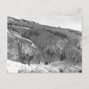 Cowboy, getrennt von seiner Herde. Postkarte