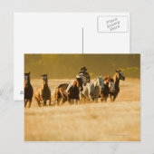 Cowboy-Herdenpferde 2 Postkarte (Vorne/Hinten)