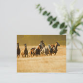 Cowboy-Herdenpferde 2 Postkarte (Stehend Vorderseite)