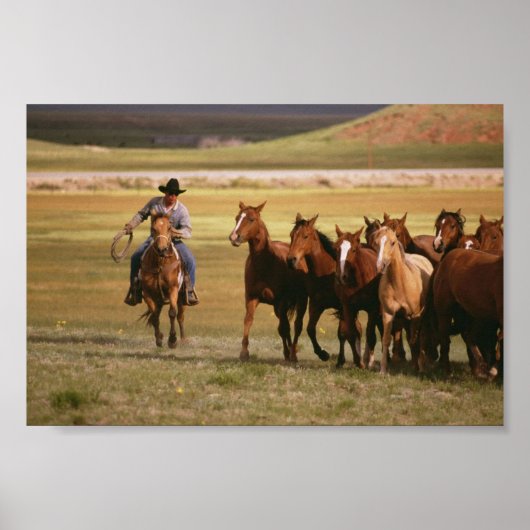 Cowboy Herding auf der Ranch Poster (Vorne)