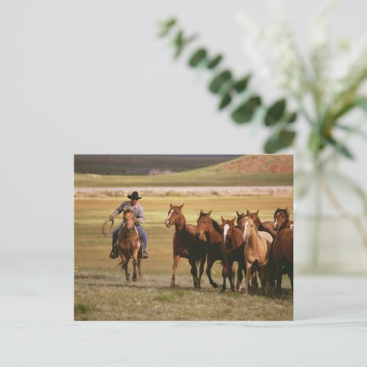 Cowboy Herding auf der Ranch Postkarte (Stehend Vorderseite)