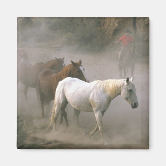 Cowboy Herding Magnet (Vorne)