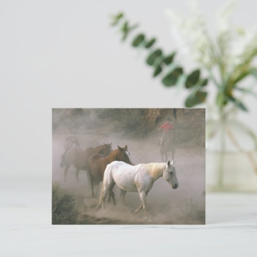 Cowboy Herding Postkarte (Stehend Vorderseite)